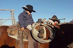 Kids visit the ranch