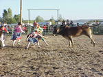 Rodeo Bull Fighters